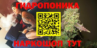 мдма Кингисепп