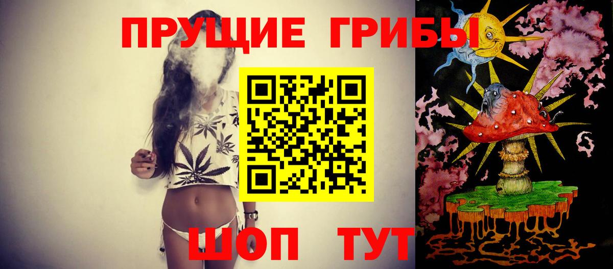 Галлюциногенные грибы прущие грибы Сафоново