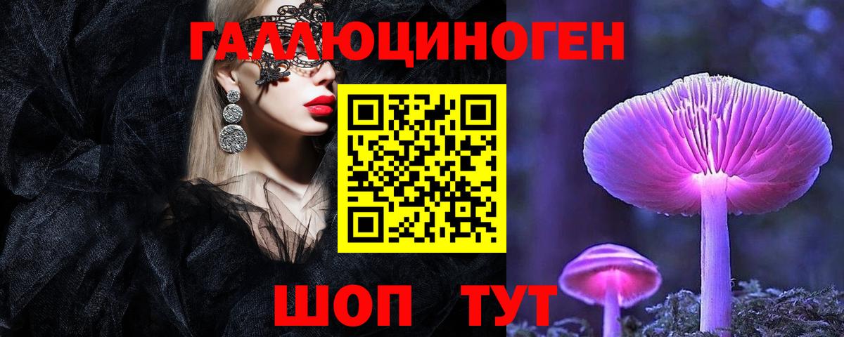 Сафоново  Галлюциногенные грибы Cubensis  Вход с VPN 